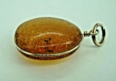 VINTAGE ANTIQUE BALTIC AMBER PENDANT W/INSECT BUG FOSSIL & GOLD TONE WIRE FRAME