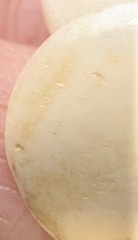 Vintage 1960s-80s Bleached Bone Disc Necklace Graduated Piano-Key Style 19”