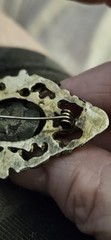 Medici Crest Cast Brass Brooch Antique “C” Clasp Possibly Only One In Existence