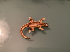 Gold Tone Alligator Brooch