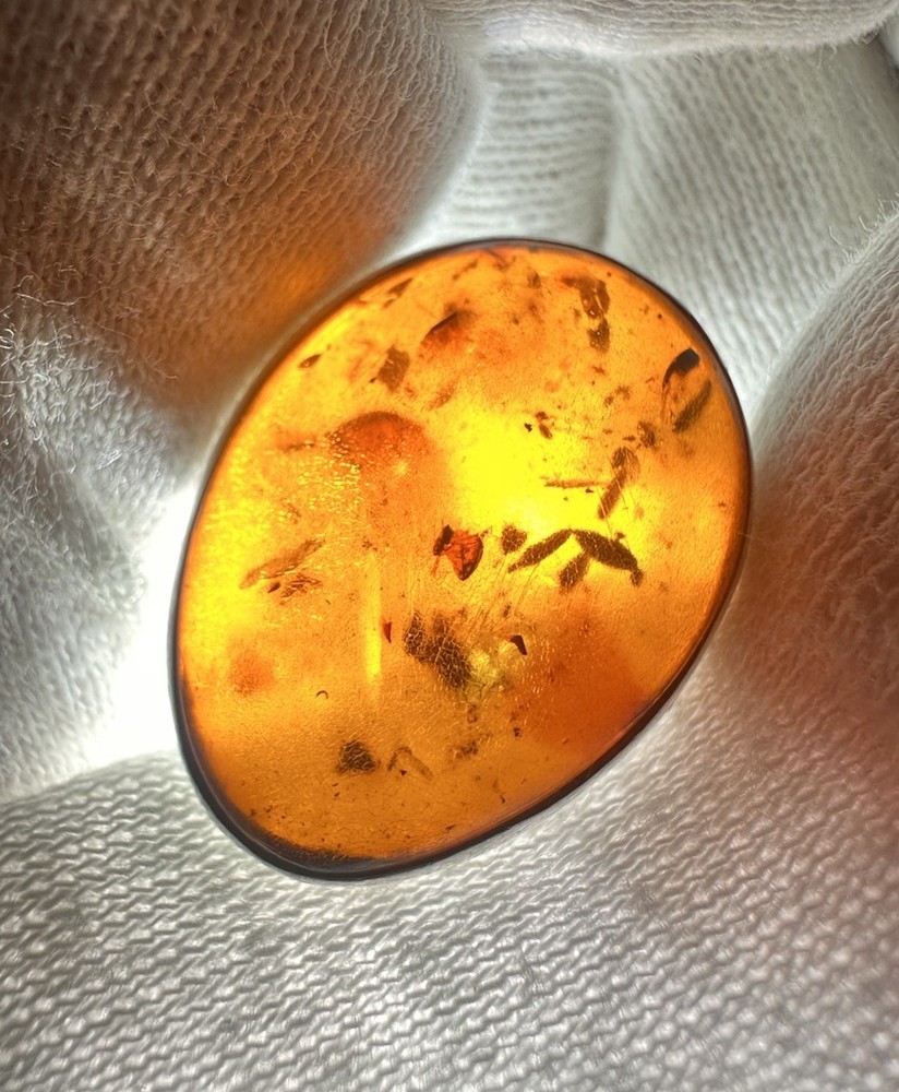 Vintage Pre- Historic Amber Sterling Silver Oval Clip-On Earrings TW. 6 Grams