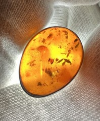Vintage Pre- Historic Amber Sterling Silver Oval Clip-On Earrings TW. 6 Grams