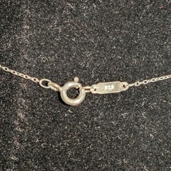 Tiffany & Co. Sterling Silver Nike Women’s Marathon I RUN TO BE Necklace 23″ NWM