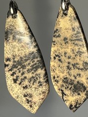 Natural Dendritic Fern Agate French Wire Flat Pull Drop Earrings lightweight