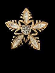 Vintage Napier Gold Tone Star Flower Brooch