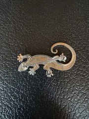 Abalone Shell Lizard Pin