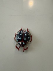 Trifari ‘Alfred Philippe’ Pave Navy Enamel/Turquoise Cabochons Ladybug Pin Clip