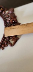 African Animal Bib Necklace Charm Carved Wood Elephant Wolves Brown Tribal Bead