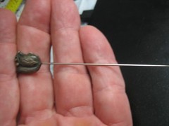 Relief flower Tie Hat Stickpin *Sterling Silver 1900s Art Nouveau Floral 3.5in