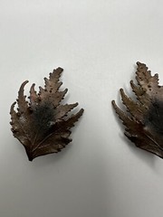 Vintage Tarnished Leaf Clip Earrings 4.5cm JB6