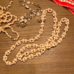 Shell Jewelry bundle