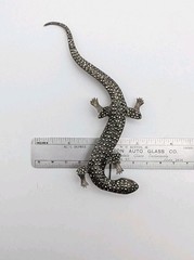 5½” Long Vintage Sterling Silver Marcasite Lizard Gecko Red Eyes Pin Brooch 30g