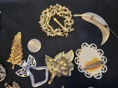 12 vintage Brooches. 1.5 inches – 3 inches big.