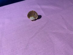Vintage 1900’s Very Unusual Seed Pear & Amethyst Novelty Shell Clam Ring
