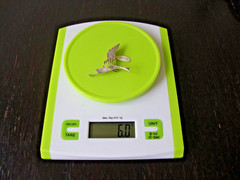 VINTAGE 1970-80s OPENWORK RISING PHOENIX MARCASITE STERLING SILVER STAMP 925 PIN