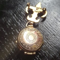 Vintage Coro Pegasus 4 Way Picture Locket Brooch Pin Chatelaine Fleur-de-lis