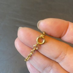 Vintage 1880 E.PLUR.L.BUS.UNUM By Crown Jewel Man Made Diamonds Necklace Pendant