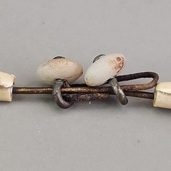 Vintage Celluloid Jabot Brooch Rhinestones Stick Pin 4.25″