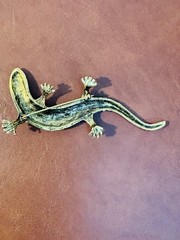 Vintage Rhinestone Brooch Pin Large Lizard Salamander Pink/ Gold Tone Estate