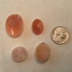 Lot of 4 Unmounted Antique & Vintage Carved Shell Cameos – SALE PRICED
