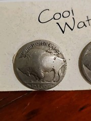 Vintage Buffalo Nickel Pierced Post Earrings