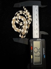 CINER FOR MMA Gold Tone Black White Enamel Coiled Snake Brooch White Rhinestones