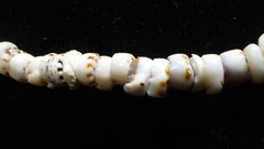 handmade 70s vintage tiger puka necklace 17.75″ 5/16″ thick approx 8-9mm shells