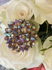 vintage aurora borealis Doomed brooch