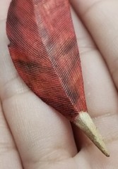 Handmade Bird Brooch Pin Lot of 4 – Takahashi? Wood Leather Cardinal Feather Vtg