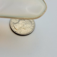 Vintage Gold Tone Opalite Pendant 1.75″