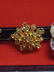 Vintage Costume Jewlery Clip Earings Brooches Necklaces In Jewlery Box
