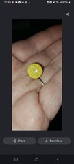 Vintage 1970s Flower Power Yellow Enamel Daisy Adjustable Silver Tone Boho