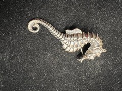 Vintage Beau Silver Seahorse Brooch approx 2 1/2″ Long