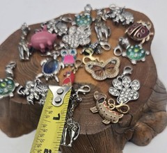 19- Animal,insect, Bird Charms – Parrot Elephant Giraffe Turtle Butterfly Dog ..