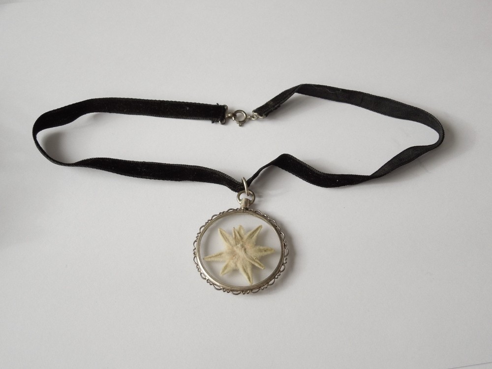 Chain Pendant 835 Silver Glass Edelweiss Velvet Band 8,8 g/ca.39 cm/5,3 x 3,8 cm