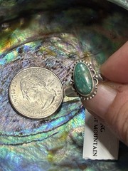 Signed 925 SS bezel set oval pilot mountain turquoise ring Size 8 adjustable