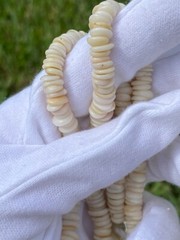 Vintage Hawaiian Puka Shell Bead Necklace 17.75 Inch Graduated up to 8.2mm
