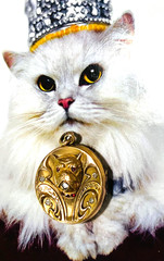 U*N*U*S*E*D* OUTSTANDING Victorian Paste GF *BULLDOG* Locket EXCELLENT CONDITION