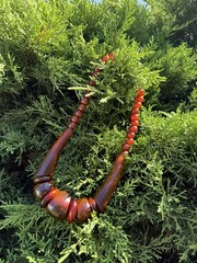 Rare Vintage Natural bovine horns Bone Necklace · Bold Statement