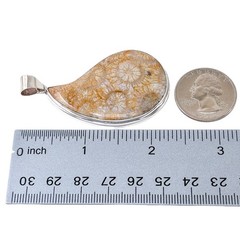 Coral Fossil Pendant | Teardrop Stone Setting | Sterling Silver 925