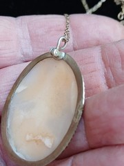 19th Century Carved Shell Portrait Cameo Pendant Necklace Gold Filled Chain Oval