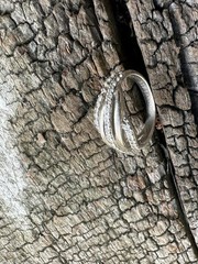 Sif Jakob Sterling Silver Ring Danish Vintage Estate 195