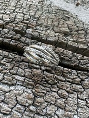Sif Jakob Sterling Silver Ring Danish Vintage Estate 195