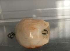 Victorian Conch Coral Memento Mori Skull Pendant 21mm Pre-drilled
