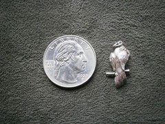 Parrot Missing Jelly Belly Stone? Sterling Silver Bracelet Charm Pendant 2.0g