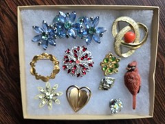 Lot of 10 Brooches/Pins Red Bird, Floral, Heart Misc # HH #18