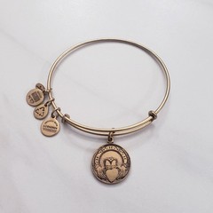 Lot of 9 Alex and Ani (+) Energy Bracelets & One Box – Initials, Disney Minnie