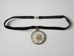 Chain Pendant 835 Silver Glass Edelweiss Velvet Band 8,8 g/ca.39 cm/5,3 x 3,8 cm
