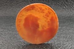 Vintage round shape shell cameo, “Woman’s profile” (92.5ct), sign by artist box.