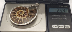 Vintage Large Ammolite Opalized Ammonite Mollusk Fossil Sterling Silver PENDANT
